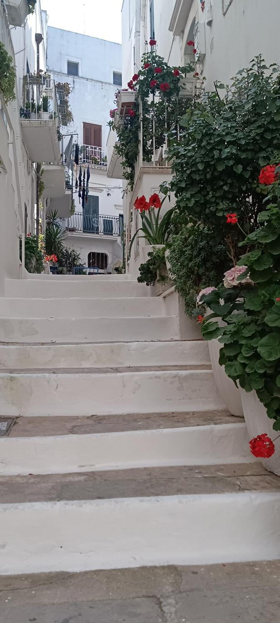 La Chicca Di C.Cavour Hotel Ostuni Exterior photo